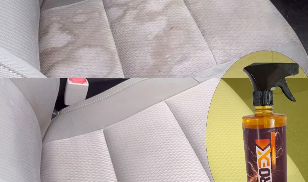 Limpa Banco Teto Painel Portas Automotivo Multilimpador PROEX