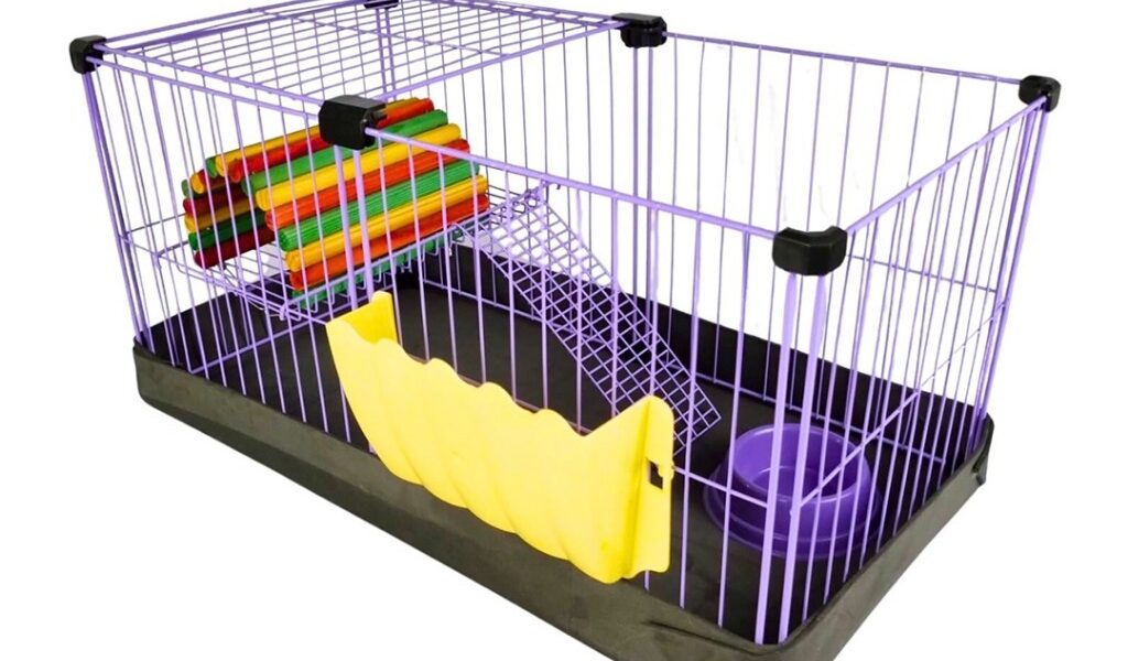 Cercado Para Porquinho Da Índia 2 andares Com Acessorios