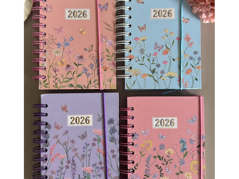 Agenda 2026 336 páginas com marca páginas