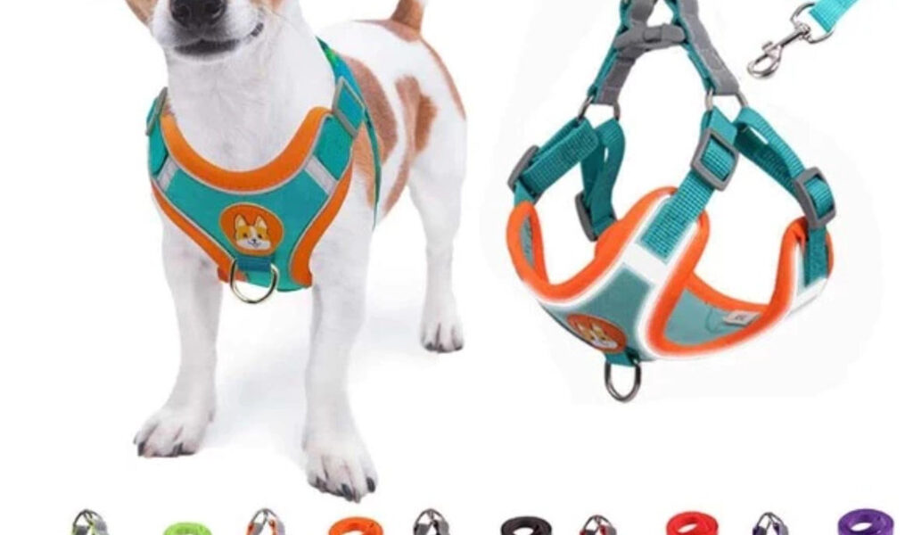 Coleira Peitoral para cachorro pequenos e médios com guia para pet colete confortável