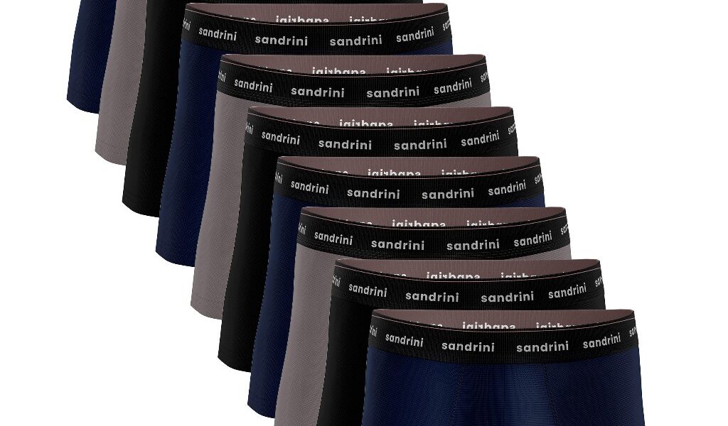 Kit 10 Cuecas Sandrini Boxer Algodão Box Masculina Adulto Promoção