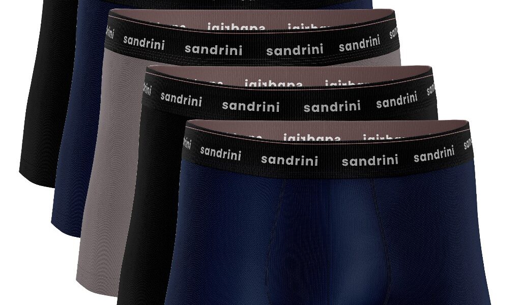 Kit 5 Cuecas Boxer Sandrini Algodão Adulto Masculinas Elastano Original cueca box Promoção