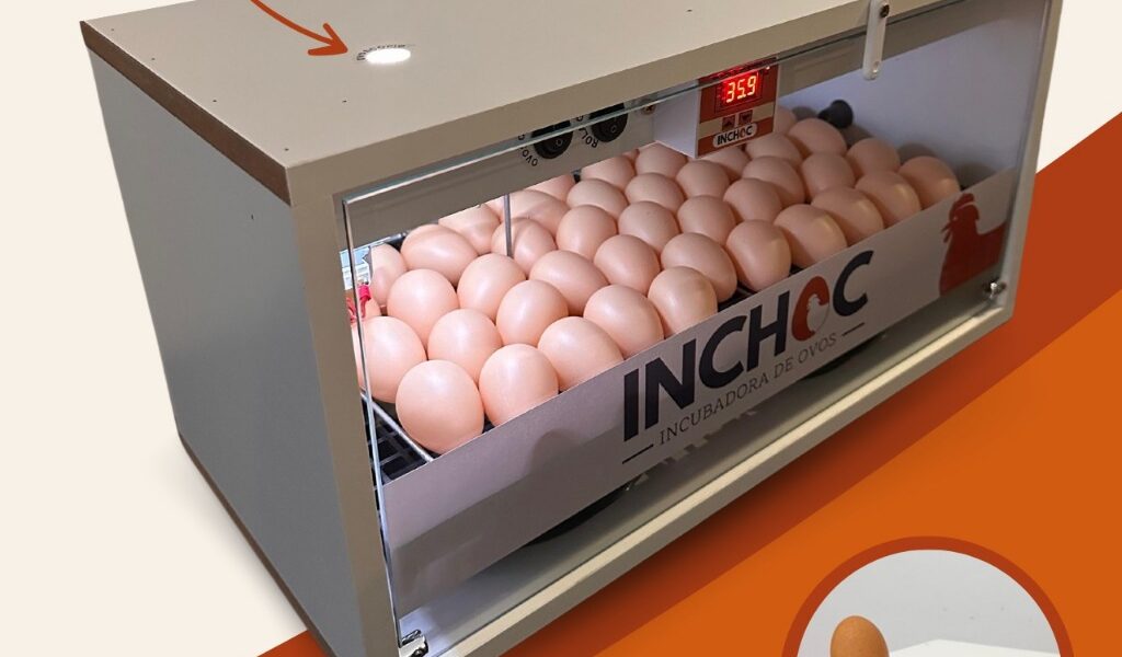 Chocadeira para 50 ovos de galinha automática alta eclosão