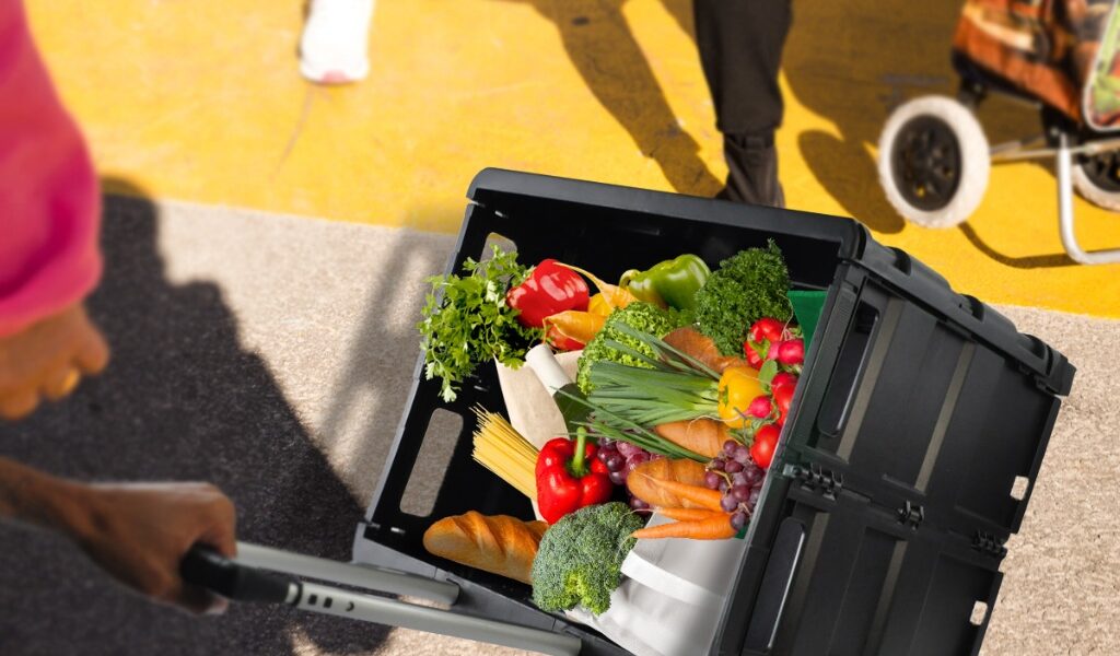 Carrinho Multiuso Dobrável Reforçado Até 20kg Compras Transporte Multifunções