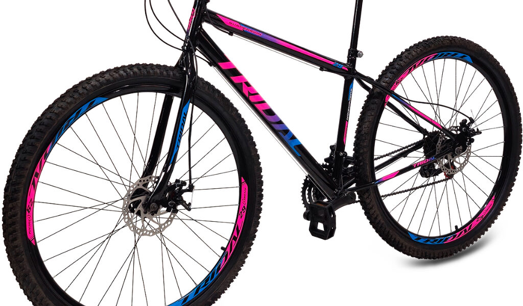 Bicicleta Aro 29 MTB Aço 21 Marchas Freio a Disco Tridal Bike