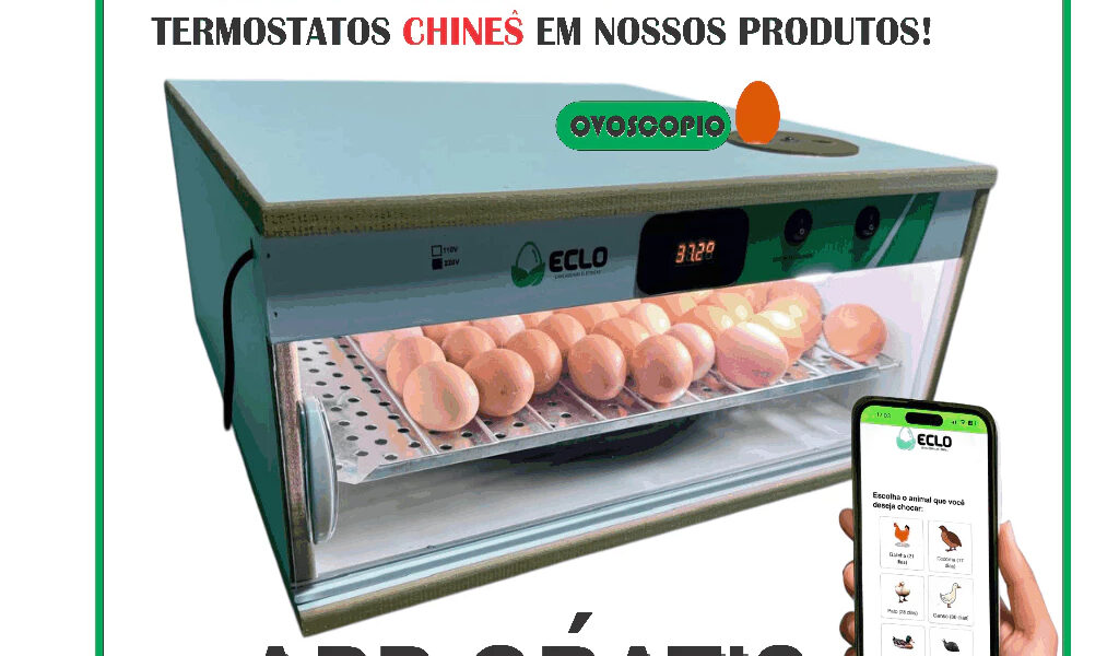 Chocadeira Automática 50 Ovos de Galinha + Ovoscópio - Eclo